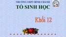 Bài giảng Sinh học lớp 12 bài 4: Đột biến gen - Trường THPT Bình Chánh