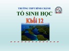 Bài giảng Sinh học lớp 12: Quá trình hình thành quần thể thích nghi và quá trình hình thành loài - Trường THPT Bình Chánh