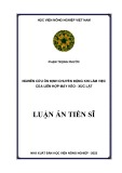 Luận án Tiến sĩ: Nghiên cứu ổn định chuyển động khi làm việc của liên hợp máy kéo - xúc lật