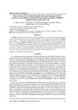 Khảo sát một số yếu tố ảnh hưởng đến hiệu suất tổng hợp 2,6,8,12- tetraaxetyl-4,10-dibenzyl-2,4,6,8,10,12-hexaazaisowurtzitan (TADBIW) dùng để chế tạo thuốc nổ CL-20