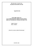 Tóm tắt Luận án Tiến sĩ Toán học: Dáng điệu tiệm cận của nghiệm phương trình Navier-Stokes trên đa tạp Riemann với độ cong Ricci âm