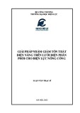 Luận văn Thạc sĩ Quản lý năng lượng: Giải pháp nhằm giảm tổn thất điện năng trên lưới điện phân phối cho điện lực Nông Cống