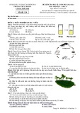 Đề thi học kì 2 môn Sinh học lớp 11 năm 2022-2023 - Trường THPT chuyên Lương Thế Vinh, Đồng Nai