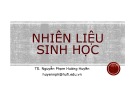 Bài giảng Nhiên liệu sinh học - TS. Nguyễn Phạm Hương Huyền