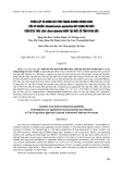 Phân lập và đánh giá tình trạng kháng kháng sinh của vi khuẩn Streptoccocus agalactiae gây bệnh mù mặt trên ếch Thái Lan (Rana tigerina) nuôi tại một số tỉnh phía Bắc