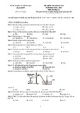 Đề thi học kì 2 môn Hóa học lớp 11 năm 2022-2023 có đáp án - Sở GD&ĐT Bắc Ninh