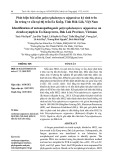 Phát hiện loài nấm polycephalomyces nipponicus ký sinh trên ấu trùng ve sầu tại thị trấn Ea Knốp, Tỉnh Đăk Lăk, Việt Nam