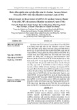 Bước đầu nghiên cứu sự hiện diện của Sri Lankan Cassava Mosaic Virus (SLCMV) trên sắn (Manihot esculenta Crantz 1766)