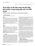 Độ ổn định của đê chắn sóng mái phủ bằng khối Antifer trong trường hợp nước tràn đỉnh đê lớn