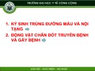 Bài giảng Ký sinh trùng y học: Chương 3 - Trường ĐH Y tế Công cộng