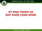 Bài giảng Ký sinh trùng y học: Chương 6 - Trường ĐH Y tế Công cộng