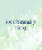 Sáng kiến kinh nghiệm THPT: Giải pháp nâng cao ý thức của học sinh trong việc sử dụng hiệu quả các loại phân bón trong chủ đề Dinh dưỡng khoáng ở thực vật Sinh học 11 cơ bản thông qua hoạt động trải nghiệm sáng tạo