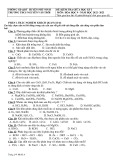 Đề thi giữa học kì 1 môn Hóa học lớp 9 năm 2022-2023 - Trường THCS Nguyễn Văn Trỗi
