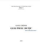 Giáo trình Giải phẫu dược: Phần 2 - Trường ĐH Võ Trường Toản