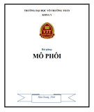 Bài giảng Mô phôi: Phần 2 - Trường ĐH Võ Trường Toản (Năm 2016)