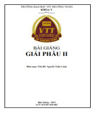 Bài giảng Giải phẫu 2: Phần 2 - Trường ĐH Võ Trường Toản (Năm 2022)