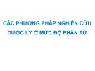 Bài giảng Dược lý 3: Các phương pháp nghiên cứu dược lý ở mức độ phân tử - Mai Thị Thanh Thường