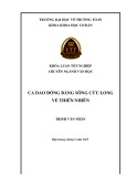 Khóa luận tốt nghiệp Văn học: Ca dao đồng bằng sông Cửu Long về thiên nhiên