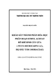 Khóa luận tốt nghiệp ngành Dược: Khảo sát thành phần hóa học phân đoạn Ethyl acetat rễ khí sinh cây Gừa (Ficus microcarpa L.f.), họ Dâu tằm (Moraceae) - Nguyễn Thị Tố Uyên