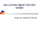 Bài giảng Đại cương bệnh truyền nhiễm - Nguyễn Thị Việt Hà