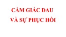 Bài giảng Cảm giá đau và sự phục hồi