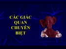 Bài giảng Các giác quan chuyên biệt