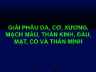 Bài giảng Giải phẫu da, cơ, xương, mạch máu, thần kinh, đầu, mặt, cổ và thân mình