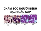 Bài giảng Chăm sóc người bệnh bạch cầu cấp
