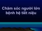 Bài giảng Chăm sóc người lớn bệnh hệ tiết niệu