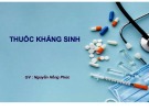 Bài giảng Thuốc kháng sinh - Nguyễn Hồng Phúc