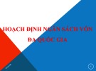 Bài giảng Hoạch định ngân sách vốn đa quốc gia