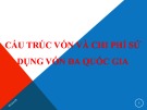 Bài giảng Cấu trúc vốn và chi phí sử dụng vốn đa quốc gia