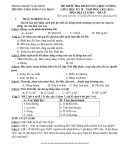 Đề thi giữa học kì 2 môn Địa lí lớp 6 năm 2022-2023 có đáp án - Trường THCS Tống Văn Trân
