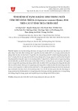 Tình hình sử dụng kháng sinh trong nuôi tôm thẻ chân trắng (Litopenaeus vannamei Boone, 1931) trên cát ở tỉnh Thừa Thiên Huế