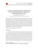 Vai trò của người Hoa trong sự hình thành và phát triển đô thị thương mại Manila (Philippines) thế kỷ XVI, XVII