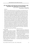 Kết quả ương cá hô (Catlocarpio siamensis Boulenger, 1898) theo hình thức ương một và hai giai đoạn