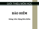 Bài giảng Bảo hiểm: Chương 1 - Đặng Bửu Kiếm