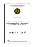 Luận án Tiến sĩ Di truyền và Chọn giống cây trồng: Nghiên cứu nguồn vật liệu khởi đầu phục vụ công tác chọn tạo giống bí xanh (benincasa hispida) ăn tươi tại các tỉnh phía Bắc