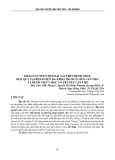 Khảo sát nếp nhăn dái tai trên bệnh nhân đột quỵ tại Bệnh viện Đa khoa Trung ương Cần Thơ và Bệnh viện Y học cổ truyền Cần Thơ