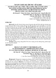 Đánh giá kết quả phẫu thuật điều trị lún đốt sống do loãng xương bằng phương pháp bơm xi măng sinh học không bóng tại Bệnh viện Đa khoa Trung ương Cần Thơ năm 2021-2022