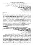 Phân tích thực trạng đề kháng kháng sinh của Klebsiella pneumoniae tại Bệnh viện Đa khoa Trung ương Cần Thơ năm 2019