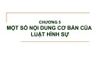 Bài giảng Pháp luật đại cương - Chương 5: Một số nội dung cơ bản của Luật hình sự