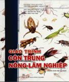 Giáo trình Côn trùng nông - lâm nghiệp (Dùng cho hệ đại học): Phần 2 - ĐH Thái Nguyên