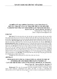 Nghiên cứu đặc điểm lâm sàng, cận lâm sàng và kết cục thai kỳ của các thai phụ thừa cân, béo phì tại Bệnh viện Phụ sản thành phố Cần Thơ năm 2020-2022