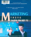 Marketing trong thương mại điện tử: Phần 1 - TS. Trần Quang Huy