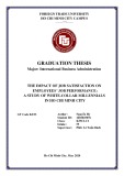 Graduation thesis International Business Administration: The impact of job satisfaction on employees’ job performance: A study of white-collar millennials in Ho Chi Minh City