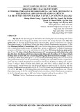 Khảo sát MIC của Colistin trên enterobacteriaceae đề kháng beta  lactam, quinolon và Pseudominas aeruginosa đề kháng colistin tại Bệnh viện trường Đại học Y Dược Cần Thơ năm 2022-2023