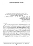 Nghiên cứu in vitro sự đề kháng kháng sinh của vi khuẩn Helicobacter pylori có và không có tạo màng sinh học (biofilm)