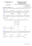 Đề thi học kì 2 môn Toán lớp 11 năm 2022-2023 - Sở GD&ĐT Bắc Giang