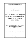 Luận văn Thạc sĩ Quản lý an toàn và sức khỏe nghề nghiệp: Quản lý rủi ro an toàn vệ sinh lao động trong nhà máy cắt và bao ép tại công ty Sumi - Hanel